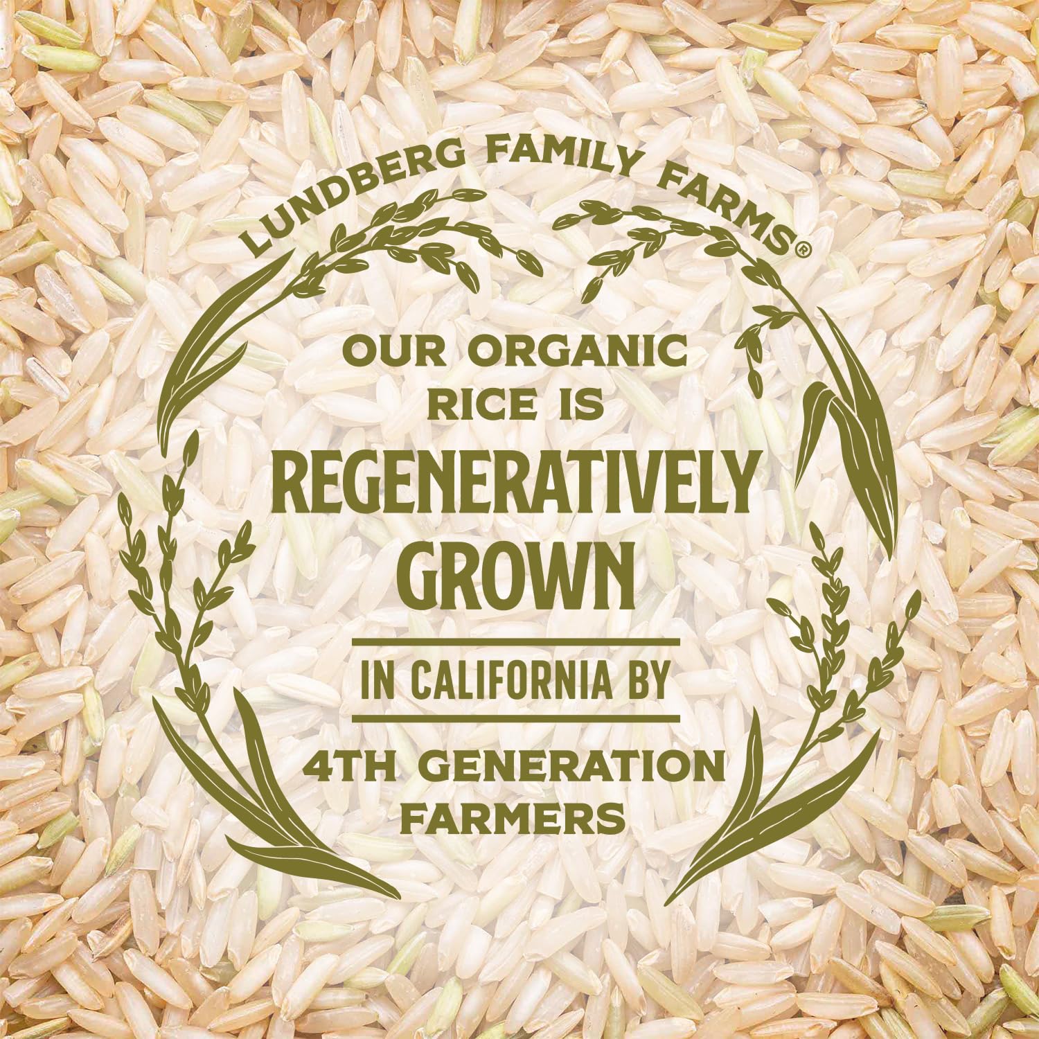 Lundberg Regenerative Brown Basmati – Low Arsenic Organic Rice for Clean Pantry