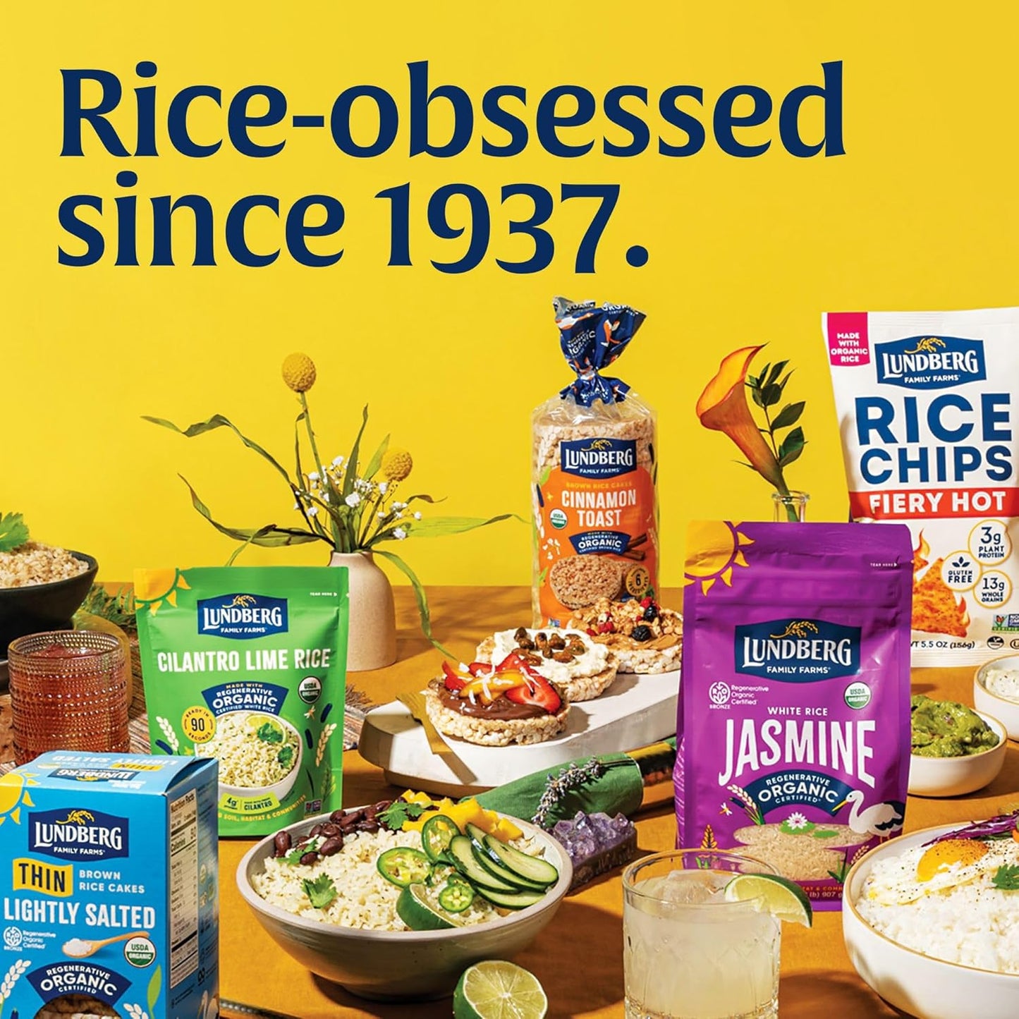 Lundberg Regenerative Jasmine Rice – Single-Item Pantry Essential for Simple, No-Fuss Meal Prep