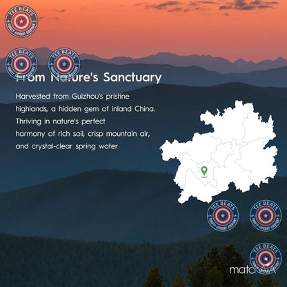 MatchAiA Culinary Matcha – Quick-Stir Productivity Brew for the Remote Worker Kitchen Counter