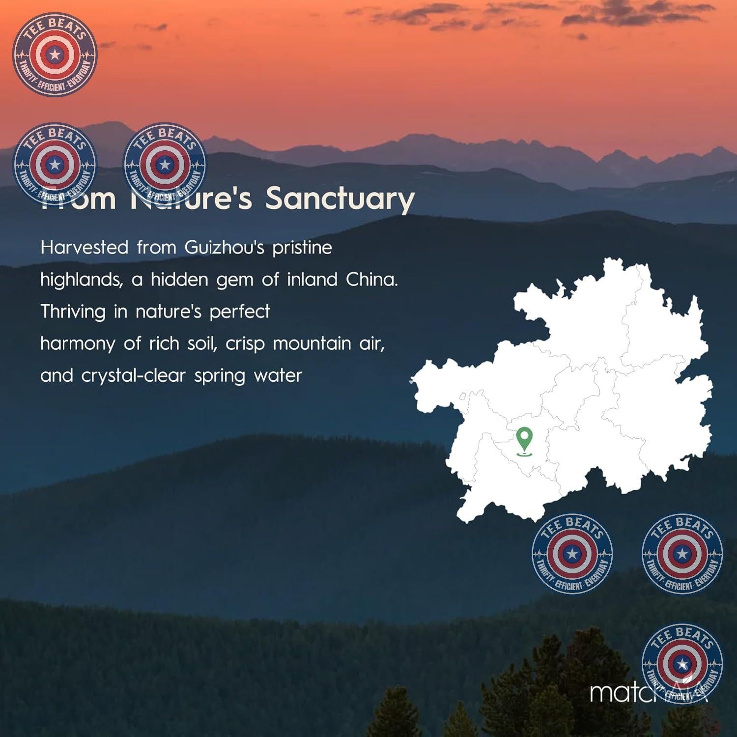 MatchAiA Pure Matcha Powder – Single-Ingredient Simplicity for Less-Is-More Home Brewing