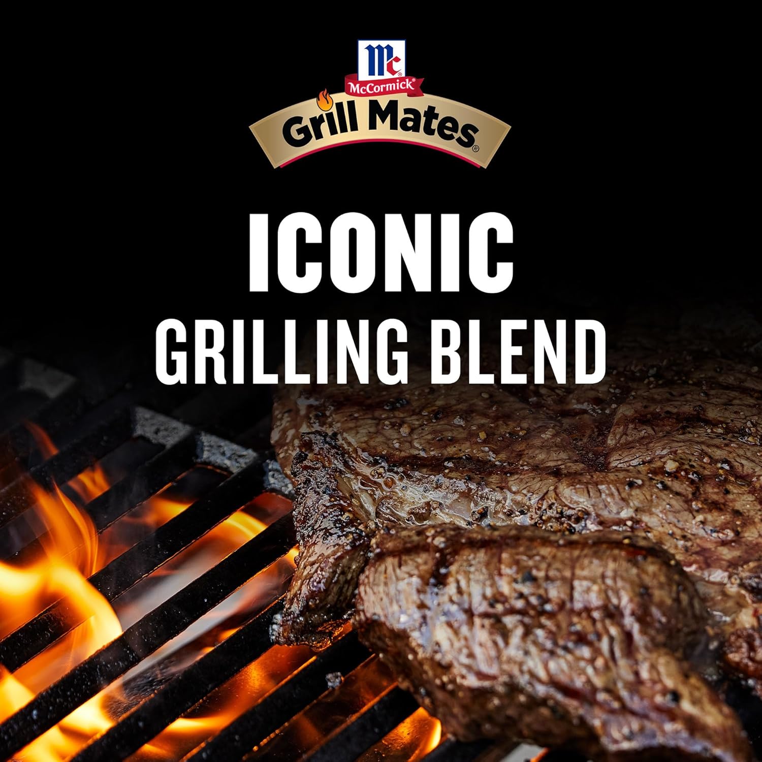 McCormick Grill Mates 25% Less Sodium Montreal Steak Seasoning for Portable Pantry and Camp Cooking, Durable Seasoning for On-the-Go Flavor