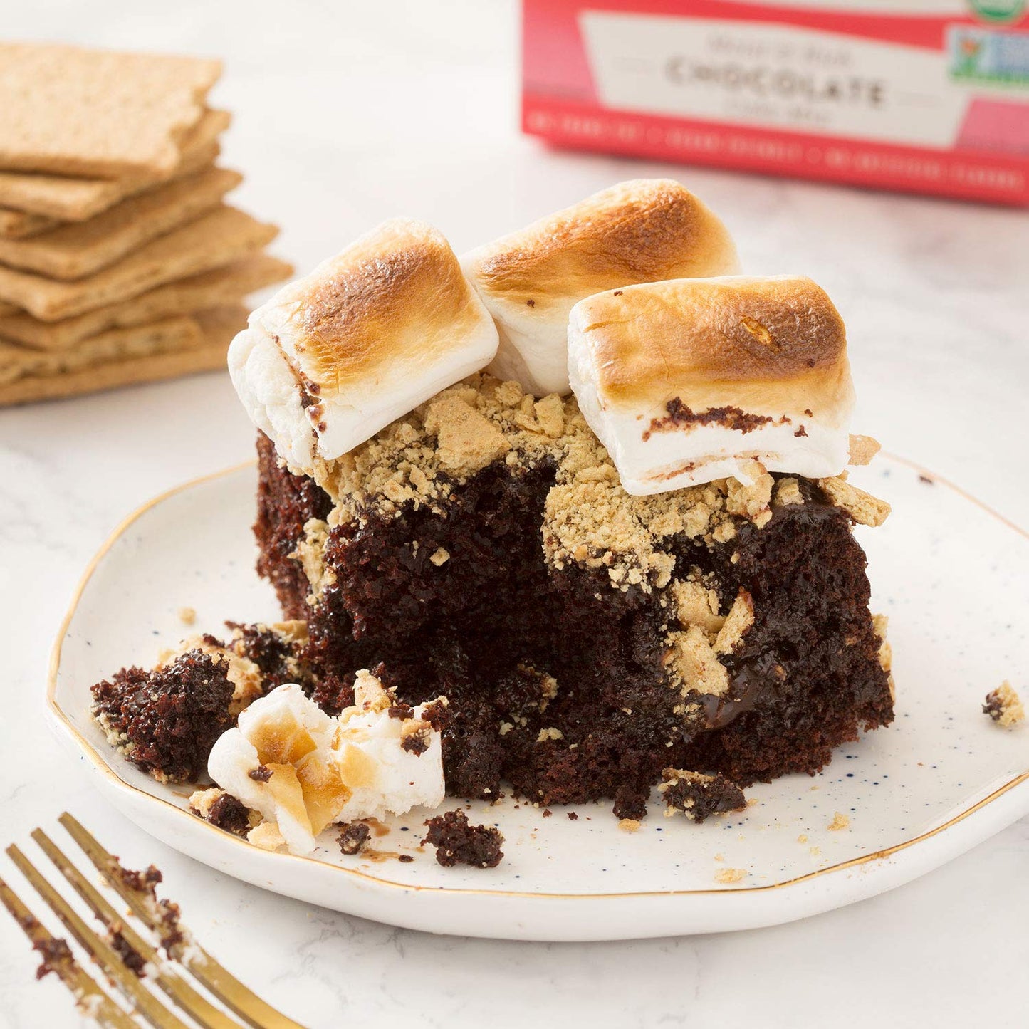 Miss Jones Baking Organic Chocolate Cake Mix – Scratch-Quality Taste with Clean-Label Ingredients for Wellness-Focused Families