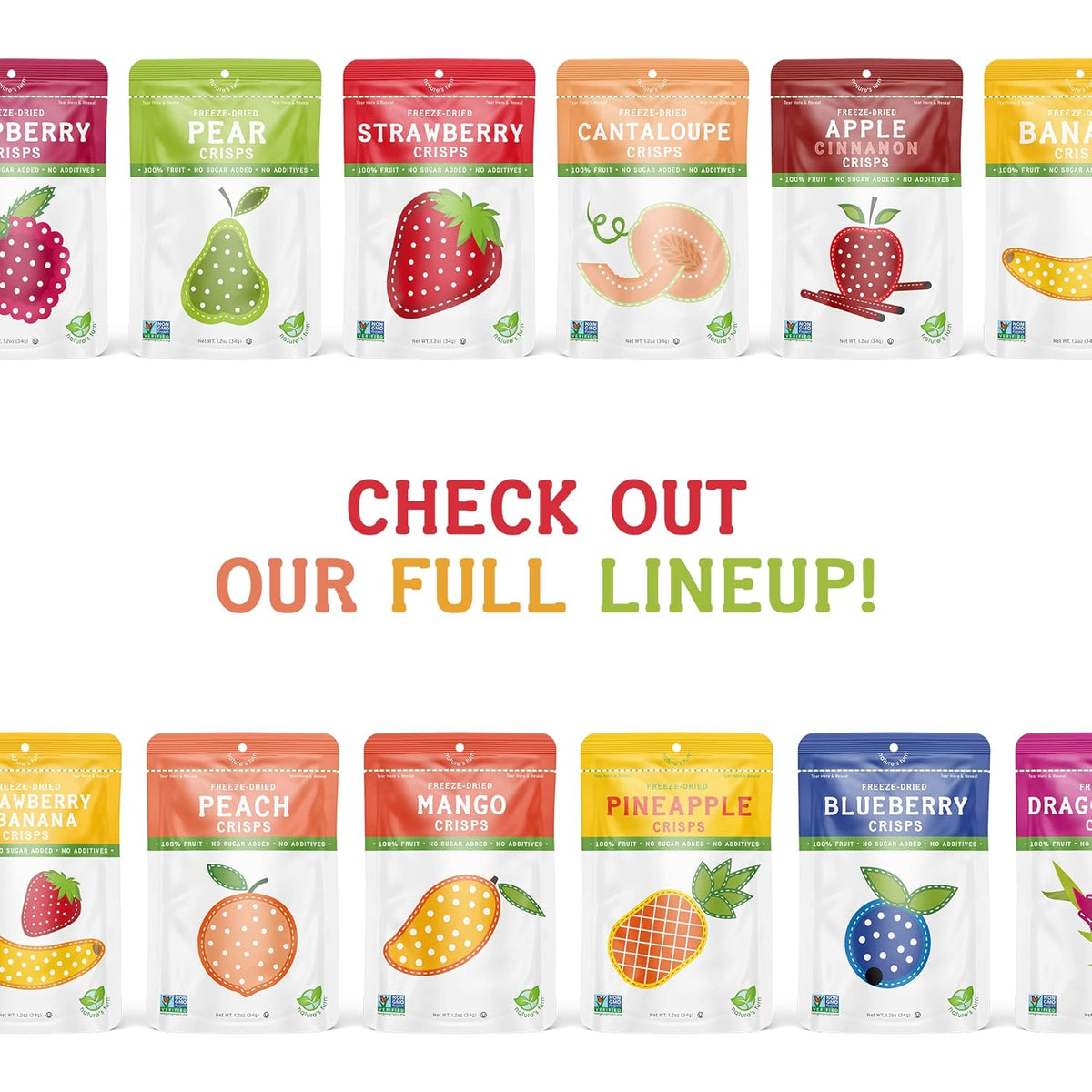 Nature's Turn Freeze-Dried Sour Kiwi Crisps – Lunchbox Snack for Kids, Single-Ingredient Fruit Pack of 6