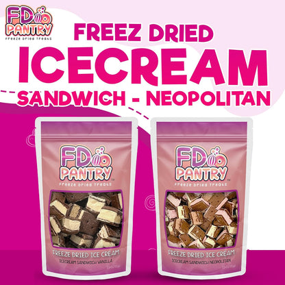 Neapolitan Freeze Dried Dessert Bites – No-Melt Birthday Party Favor and Classroom Snack for Children