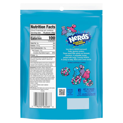 NERDS Juicy Gummy Clusters – Durable Travel-Friendly Snack Bag for Tailgating and Open-Air Events, 2-Pack
