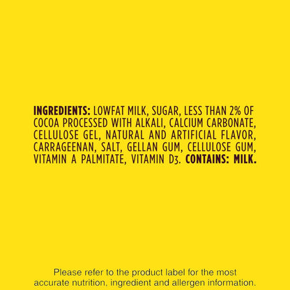 Nesquik Cinnamon Lowfat Milk Single Serve Bottles – Resealable Protein Snack for Kids On the Go