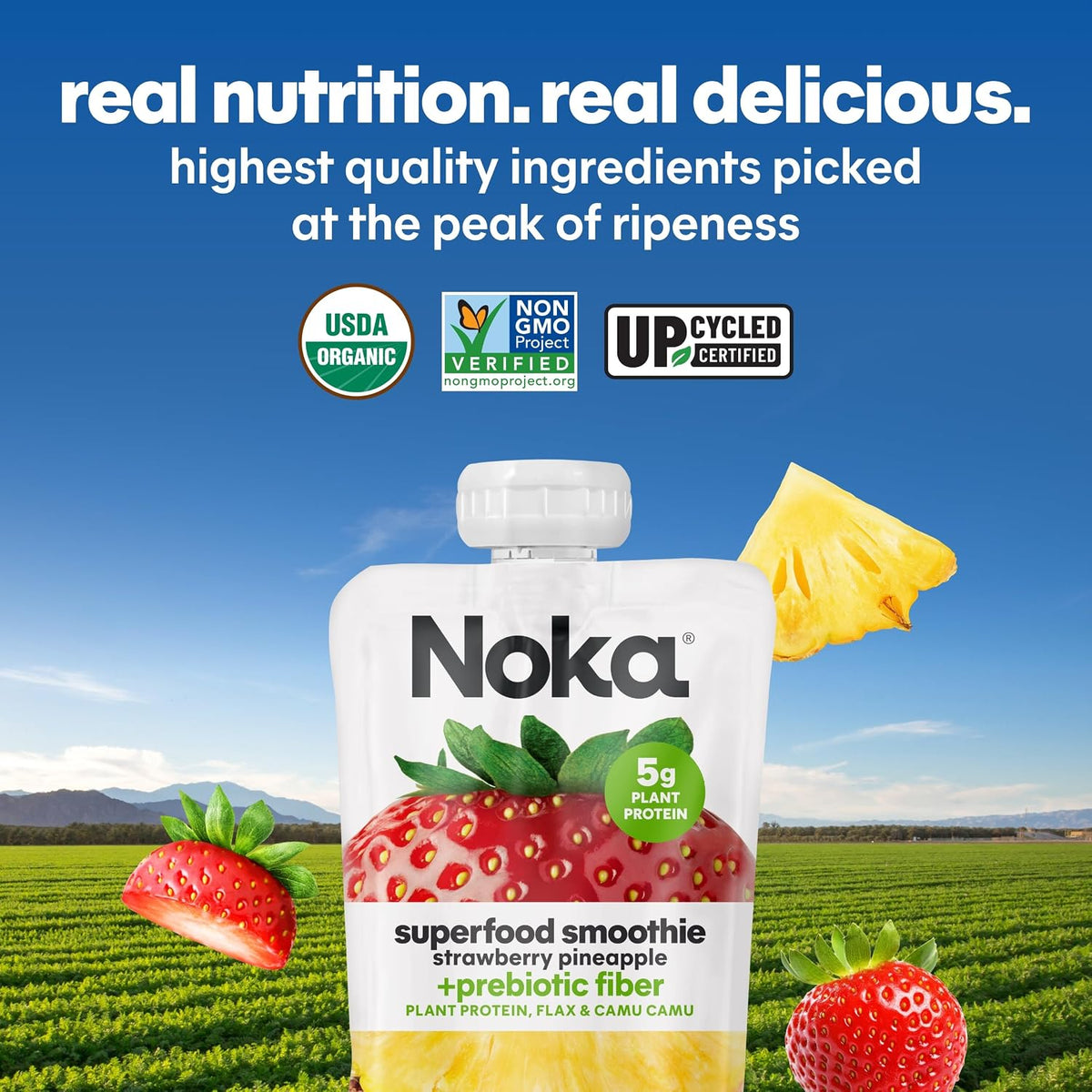 Noka Organic Fruit & Protein Pouches – Hotel-Room and Conference Fuel for Professionals, 12pk