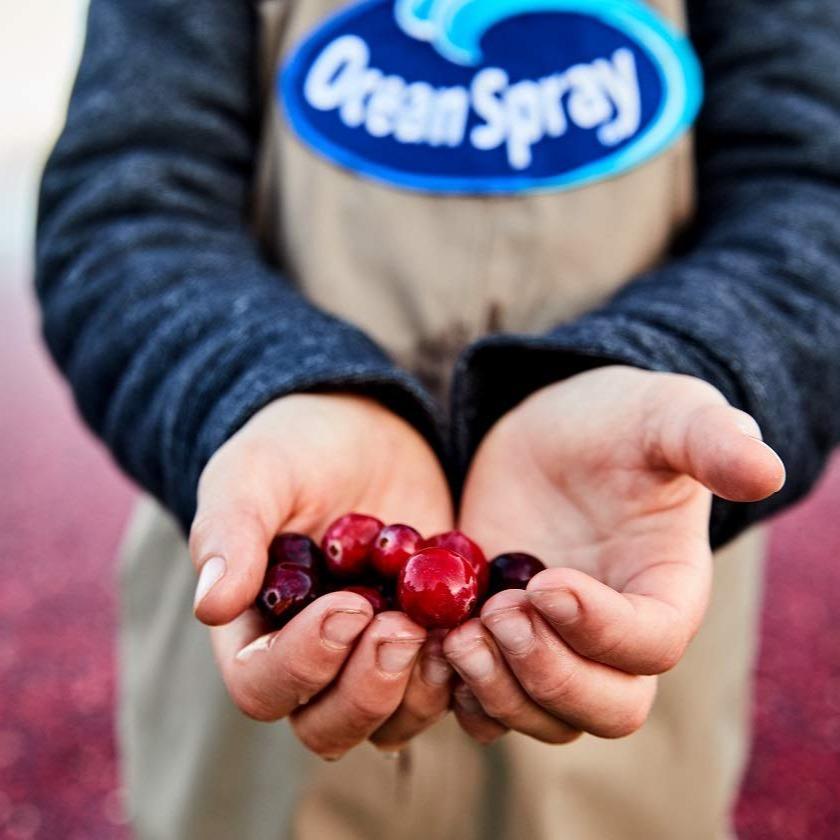 Ocean Spray Cran-Energy Cranberry Raspberry Energy Juice Drink for Household Fridge Stocking and Shared Family Energy Option