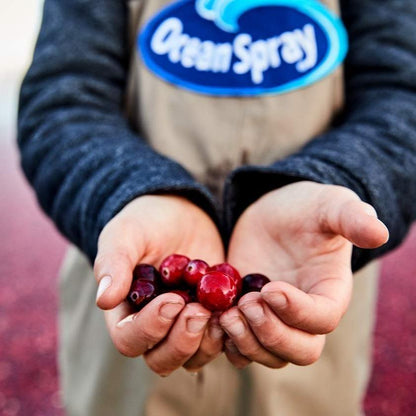 Ocean Spray Cran-Energy Cranberry Raspberry Energy Juice Drink for Household Fridge Stocking and Shared Family Energy Option