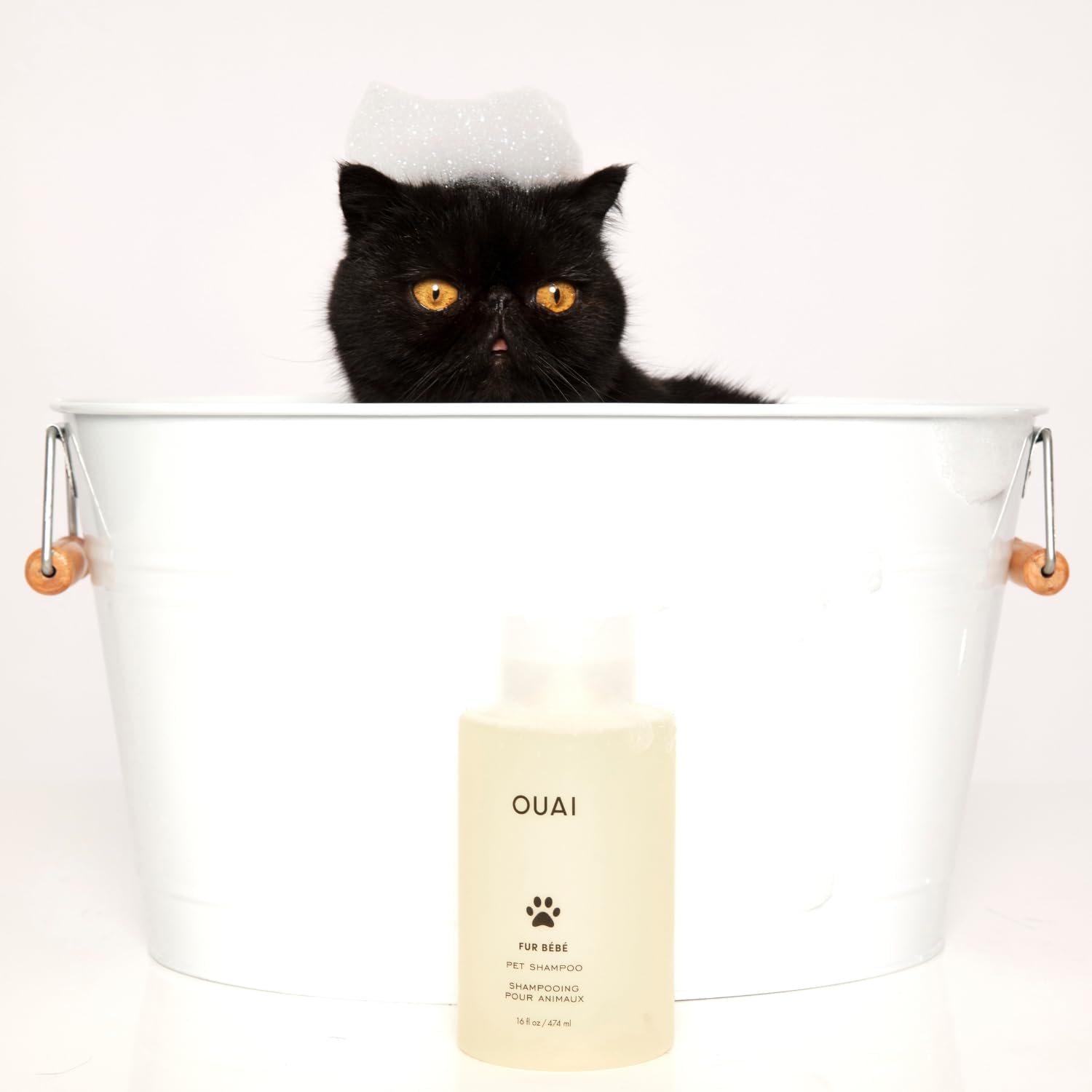 OUAI Fur Bébé Pet Shampoo - One-Bottle Pet Bath for the Intentional Multi-Pet Home, Cat and Dog Formula (16 Fl oz)