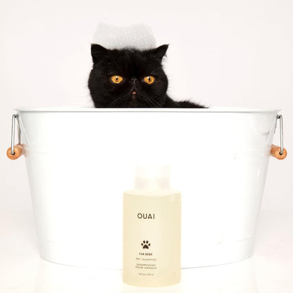 OUAI Fur Bébé Pet Shampoo - One-Bottle Pet Bath for the Intentional Multi-Pet Home, Cat and Dog Formula (16 Fl oz)