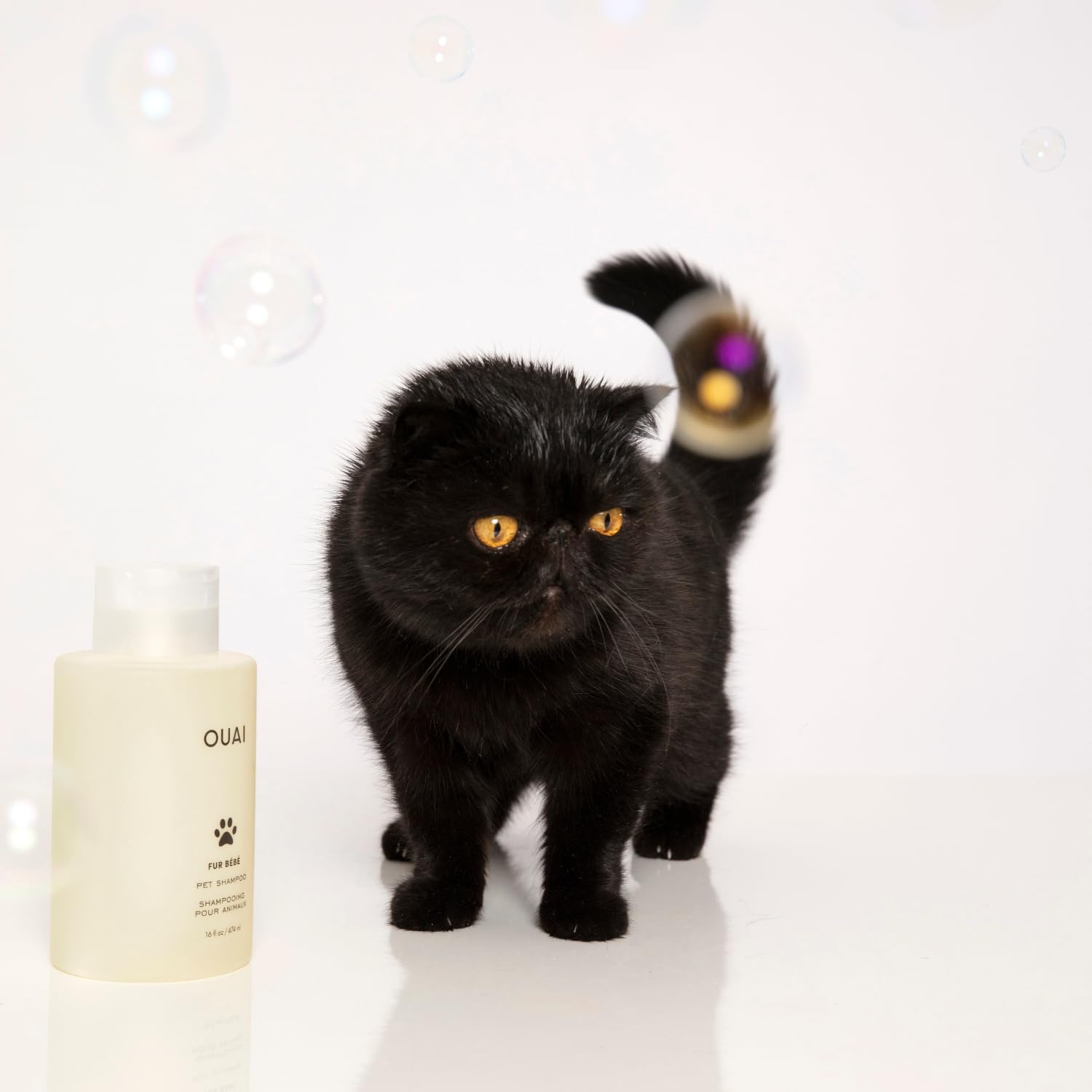 OUAI Fur Bébé Pet Shampoo - One-Bottle Pet Bath for the Intentional Multi-Pet Home, Cat and Dog Formula (16 Fl oz)