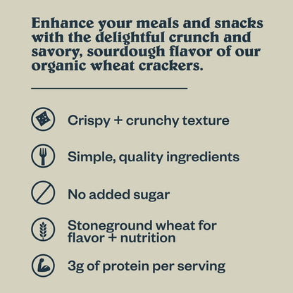Patagonia Provisions Rosemary Garlic Crackers – Artisan Pairing Gift for Cheese Lovers and Charcuterie Enthusiasts