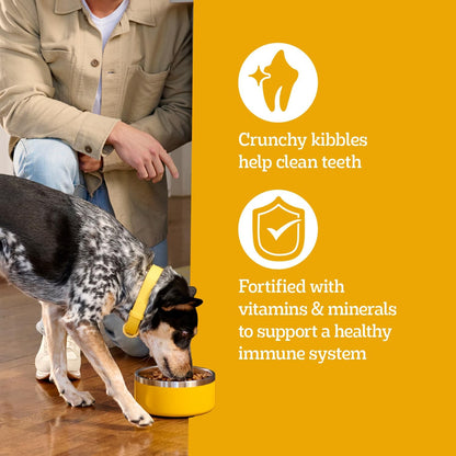 Pedigree Complete Nutrition Kibble – Family Home Feeding Solution for Adult Dogs, 18 lb. Bag