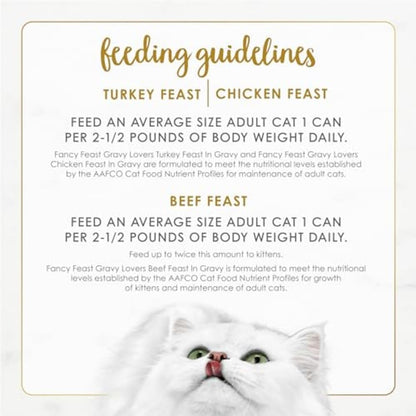 Purina Fancy Feast Gravy Lovers Wet Cat Food – Complete Balanced Poultry and Beef Recipes for Stress-Free Senior Cat Feeding Stations