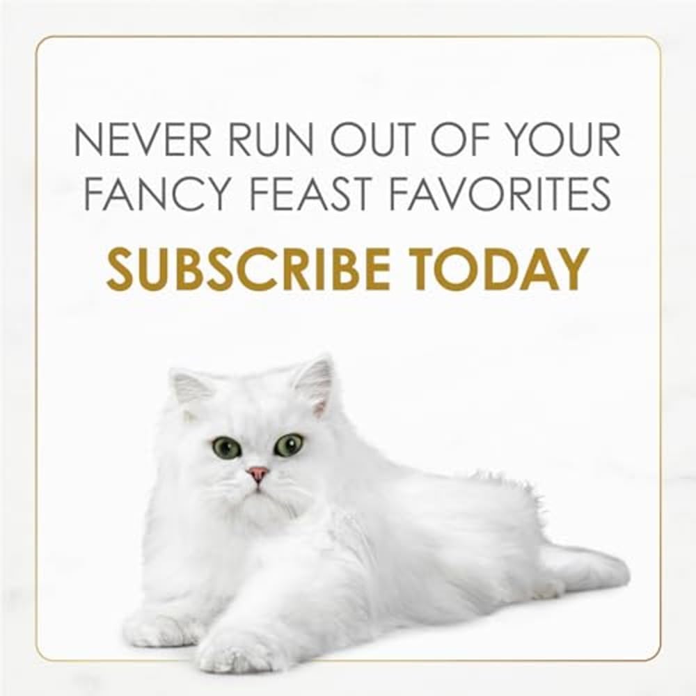 Purina Fancy Feast Gravy Lovers Wet Cat Food – Complete Balanced Poultry and Beef Recipes for Stress-Free Senior Cat Feeding Stations