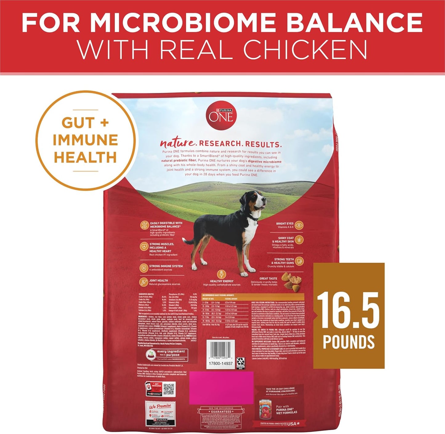 Purina ONE Chicken and Rice Dry Dog Food – New Puppy Starter Gift Bag with Real Chicken and Joint Support