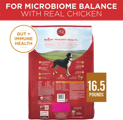 Purina ONE Chicken and Rice Dry Dog Food – New Puppy Starter Gift Bag with Real Chicken and Joint Support