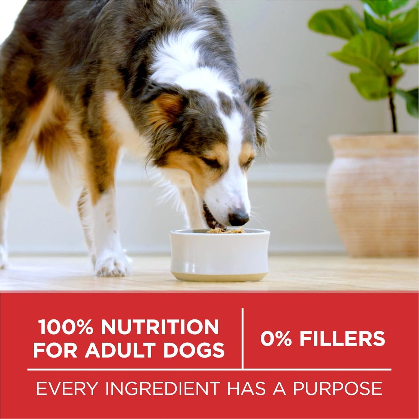 Purina ONE Lamb and Rice Adult Dog Kibble - 31.1 lb. Resealable Bag for Multi-Dog Households and Active Outdoor Dogs