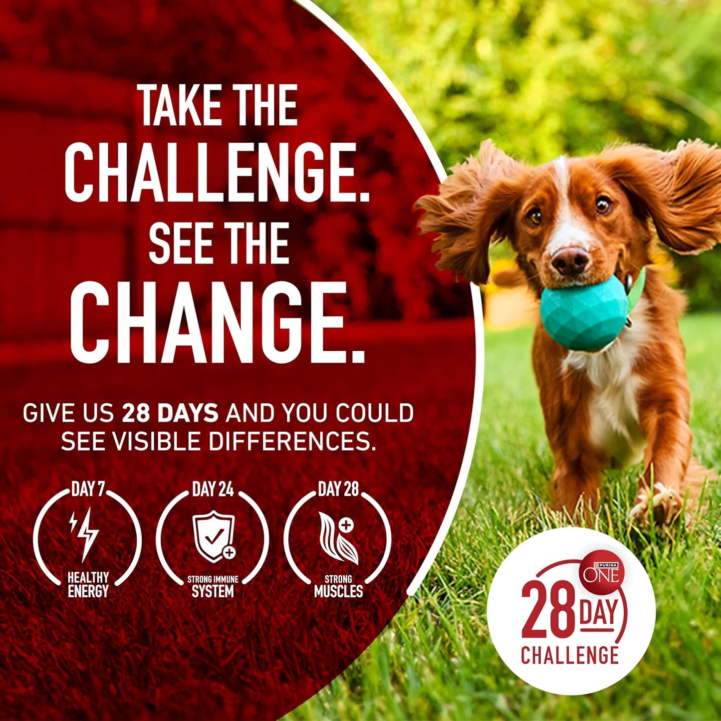 Purina ONE Lamb and Rice Adult Dog Kibble - 31.1 lb. Resealable Bag for Multi-Dog Households and Active Outdoor Dogs