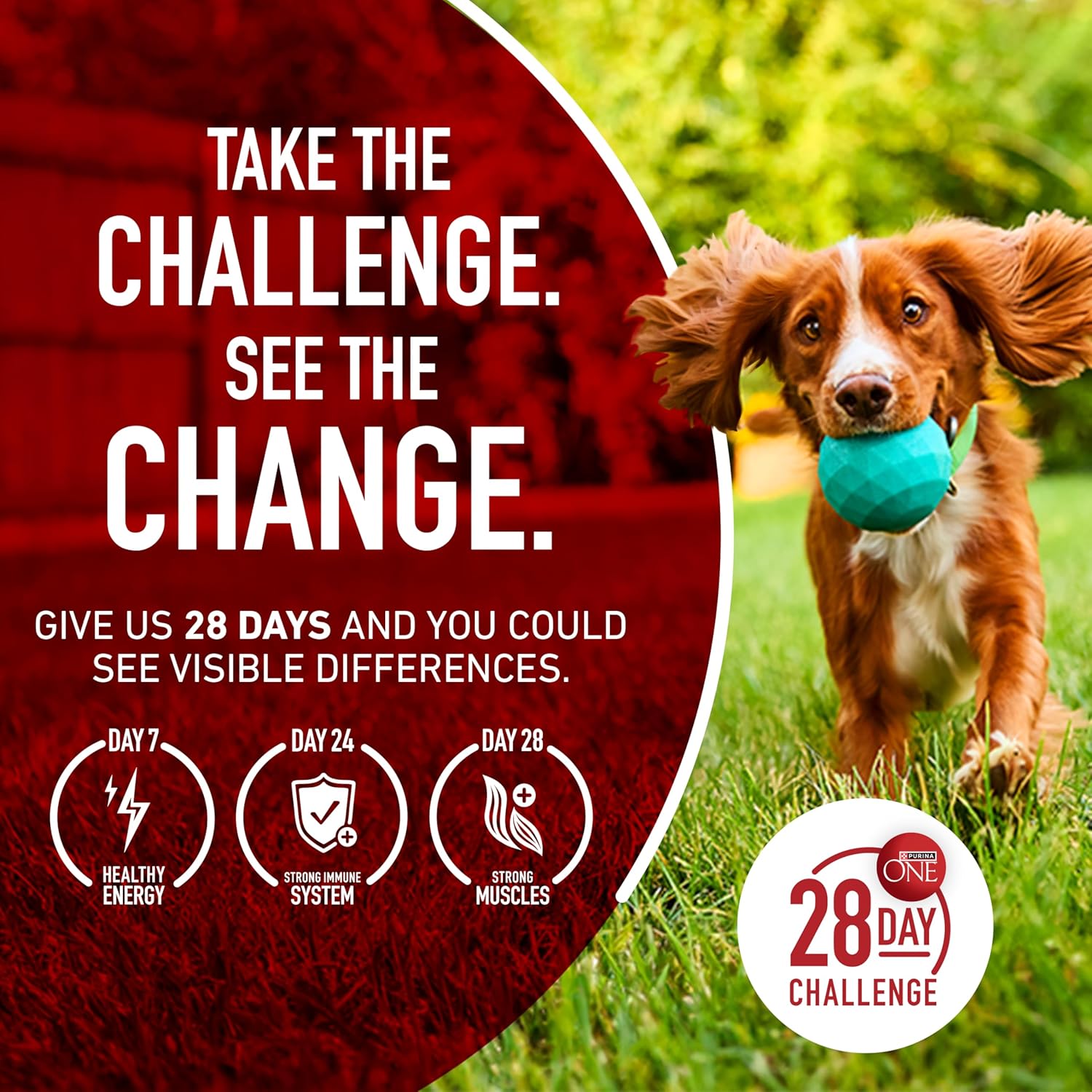 Purina ONE Lamb and Rice Adult Dog Kibble - 31.1 lb. Resealable Bag for Multi-Dog Households and Active Outdoor Dogs