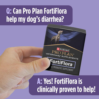 Purina Pro Plan FortiFlora Powder Supplement for Dogs – Trusted Post-Antibiotic Recovery and Stool Firming
