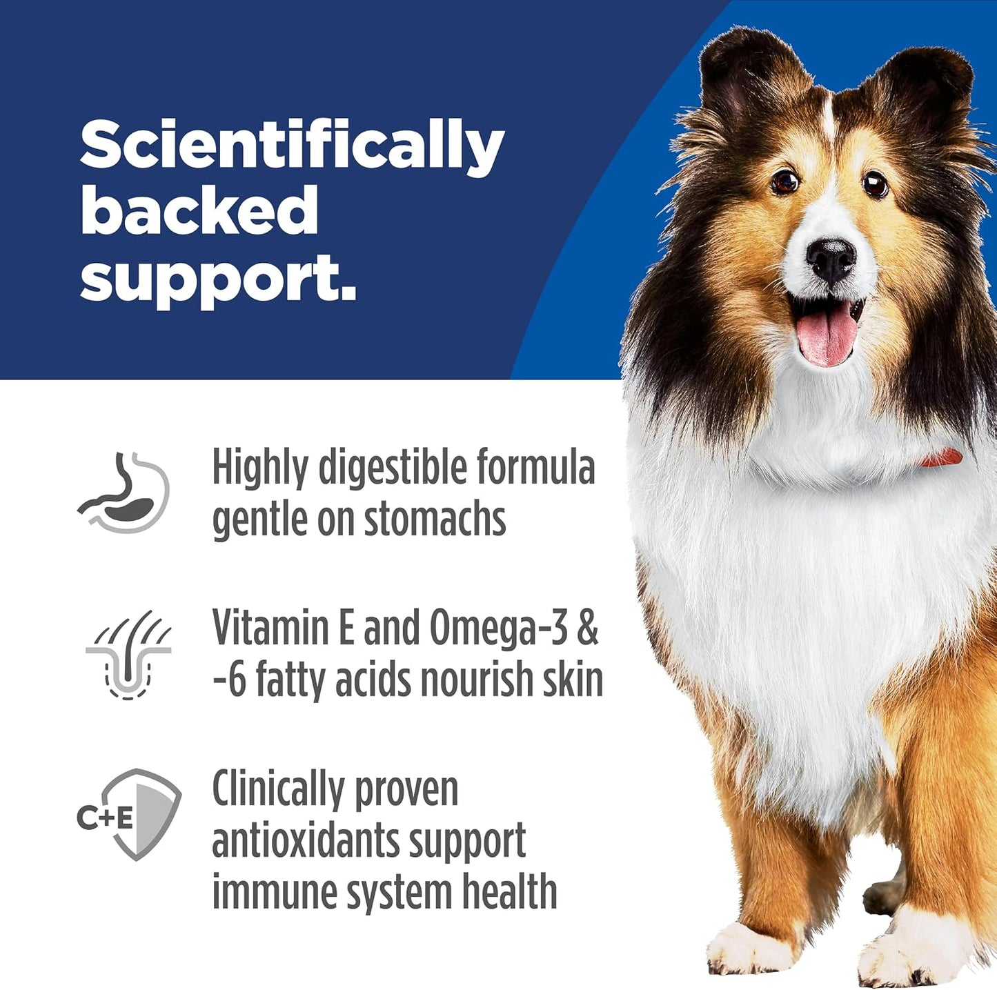 real chicken (or salmon/pollock in other variants) listed as the #1 ingredient for high-quality animal protein