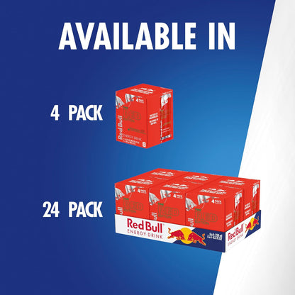 Red Bull Red Edition Watermelon Energy Drink – Study Session Fuel for College Students