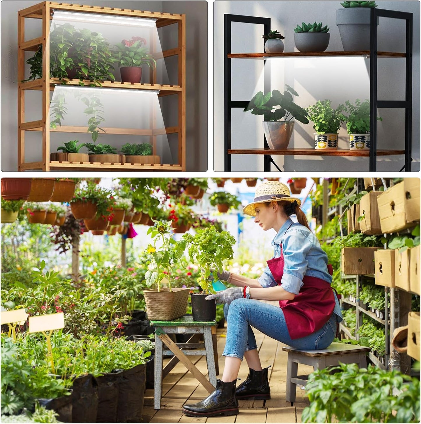 Roleadro 4-Bar 660nm Red Plant Light – Living Room Statement Shelf for Flowering Houseplants and Edibles