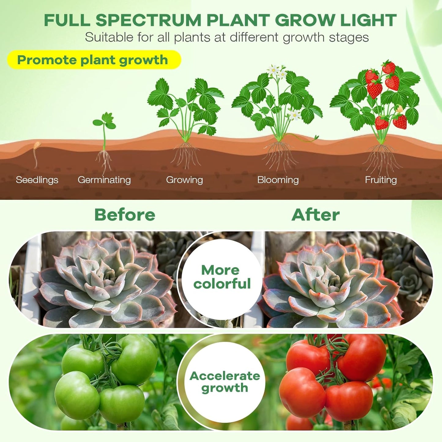 SANSI Clip-On Grow Light – Gentle Spectrum for Houseplants in Wellness Nooks and Quiet Retreats