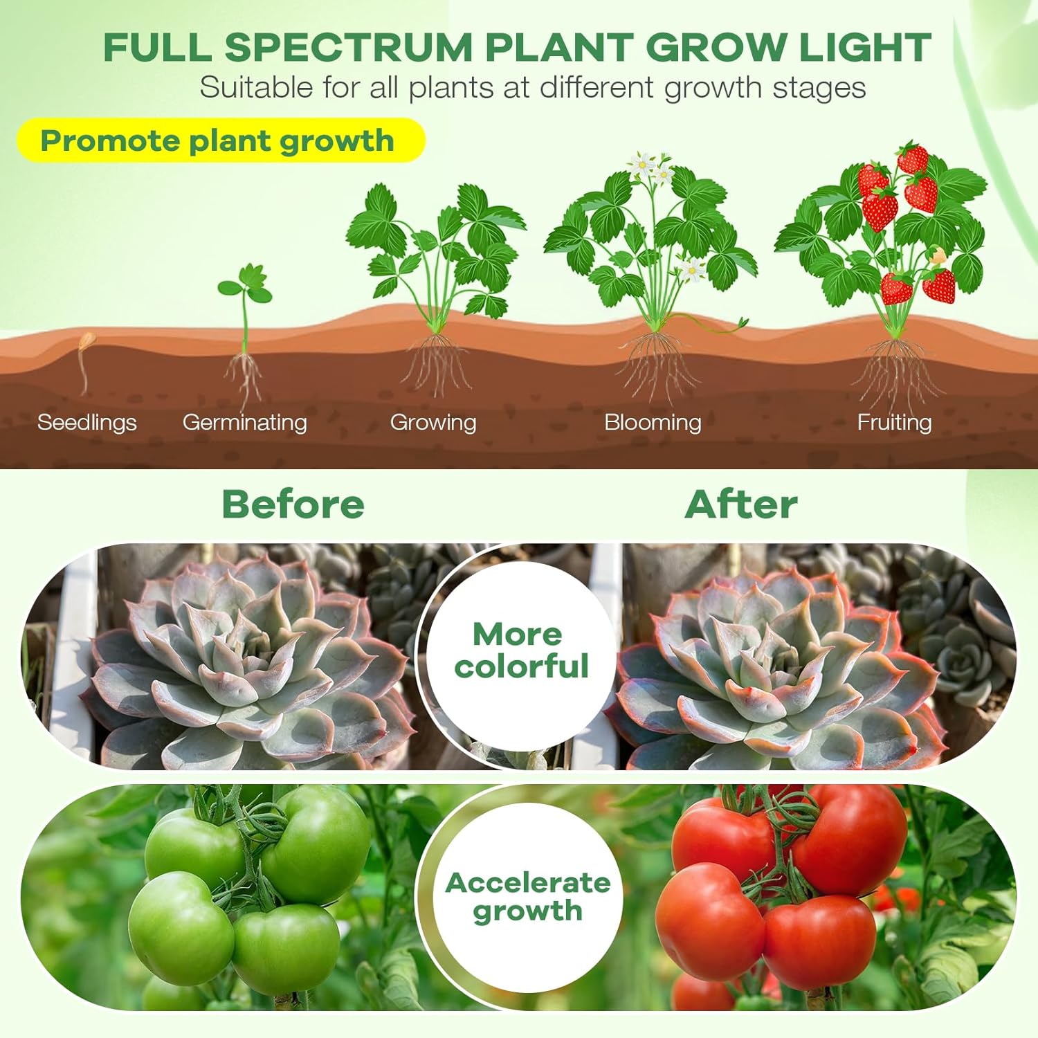 SANSI Clip-On Grow Light – Gentle Spectrum for Houseplants in Wellness Nooks and Quiet Retreats