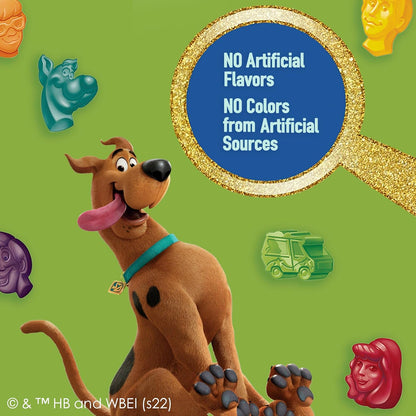 Scooby-Doo Fruit Flavored Snacks Gluten Free 22 Ct Wedding Hotel Welcome Bag Treat for Young Guests