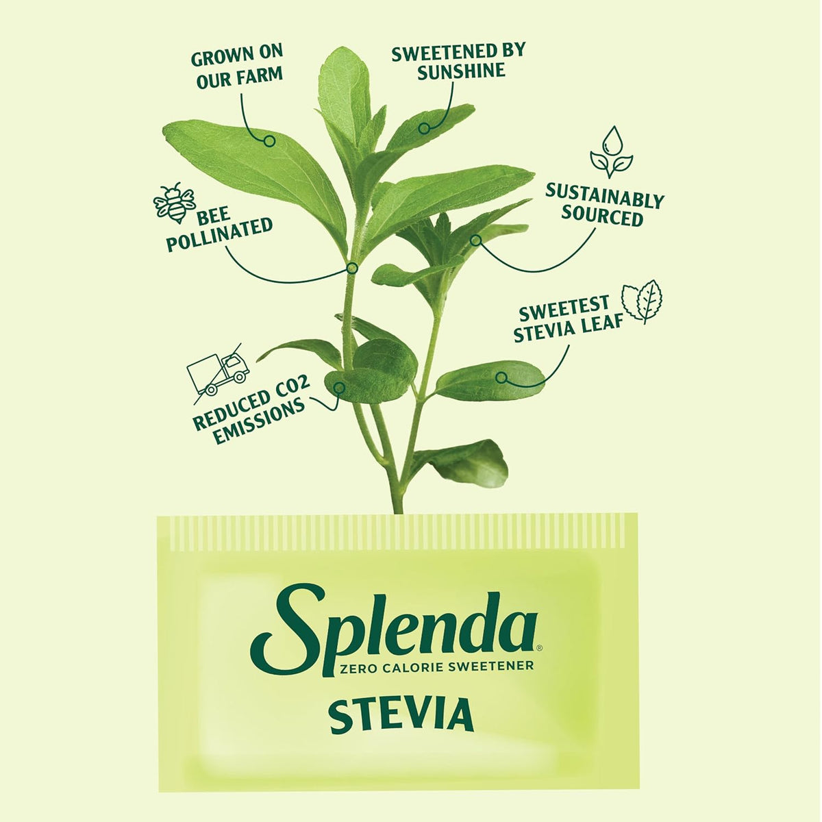 SPLENDA Stevia Zero Calorie Sweetener – Daily Wellness Staple for Diabetic-Friendly Coffee and Tea