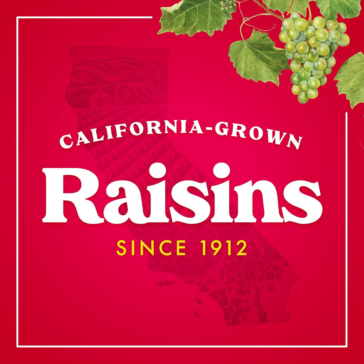 Sun-Maid Yogurt Covered Raisins – Back-to-School Snack for Children, Sun-Maid Single-Serve 1 oz Packs