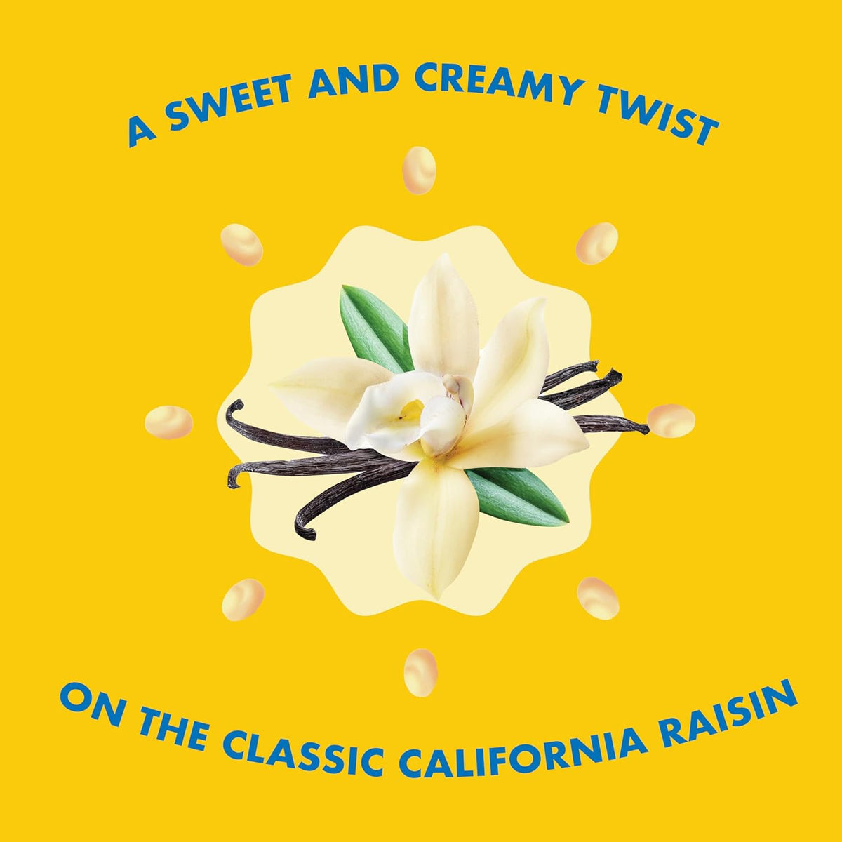 Sun-Maid Yogurt Covered Raisins – Back-to-School Snack for Children, Sun-Maid Single-Serve 1 oz Packs