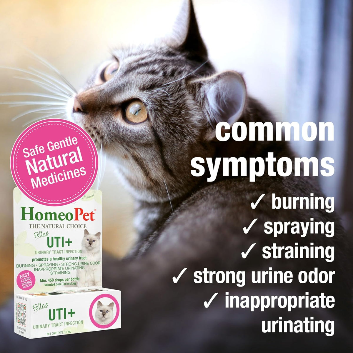 tasteless and odorless formula designed for picky cats