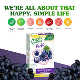 True Lemon Single-Serve Water Flavoring – Lightweight Drink Mix Packets for Road Trips and Outdoor Adventures