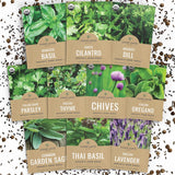 Organic Heirloom Herb Seeds – Decorative Windowsill Garden for Modern Kitchens and Living Room Ambiance, 10 Pack