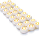 White base (24 Pack)