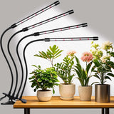 Domus Botanix Full Spectrum Lamp – Compact Less-Is-More Design for Uncluttered Shelves