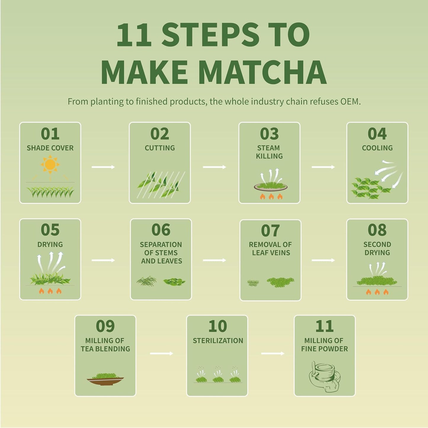 TIAN HU SHAN Pure Matcha Powder Set – Vegan-Friendly Gift for Health-Conscious Friends, Ready-to-Give Presentation