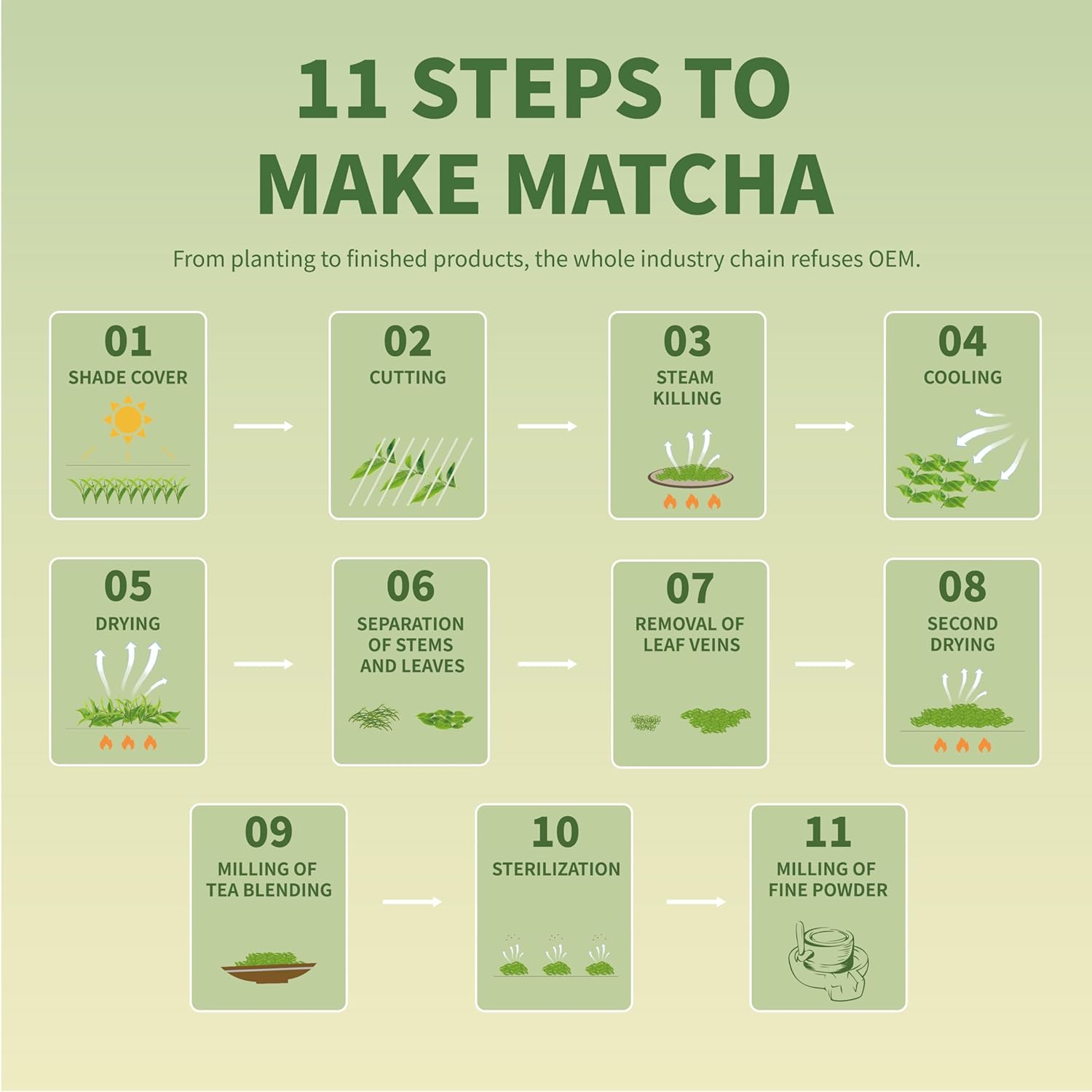 TIAN HU SHAN Pure Matcha Powder Set – Vegan-Friendly Gift for Health-Conscious Friends, Ready-to-Give Presentation