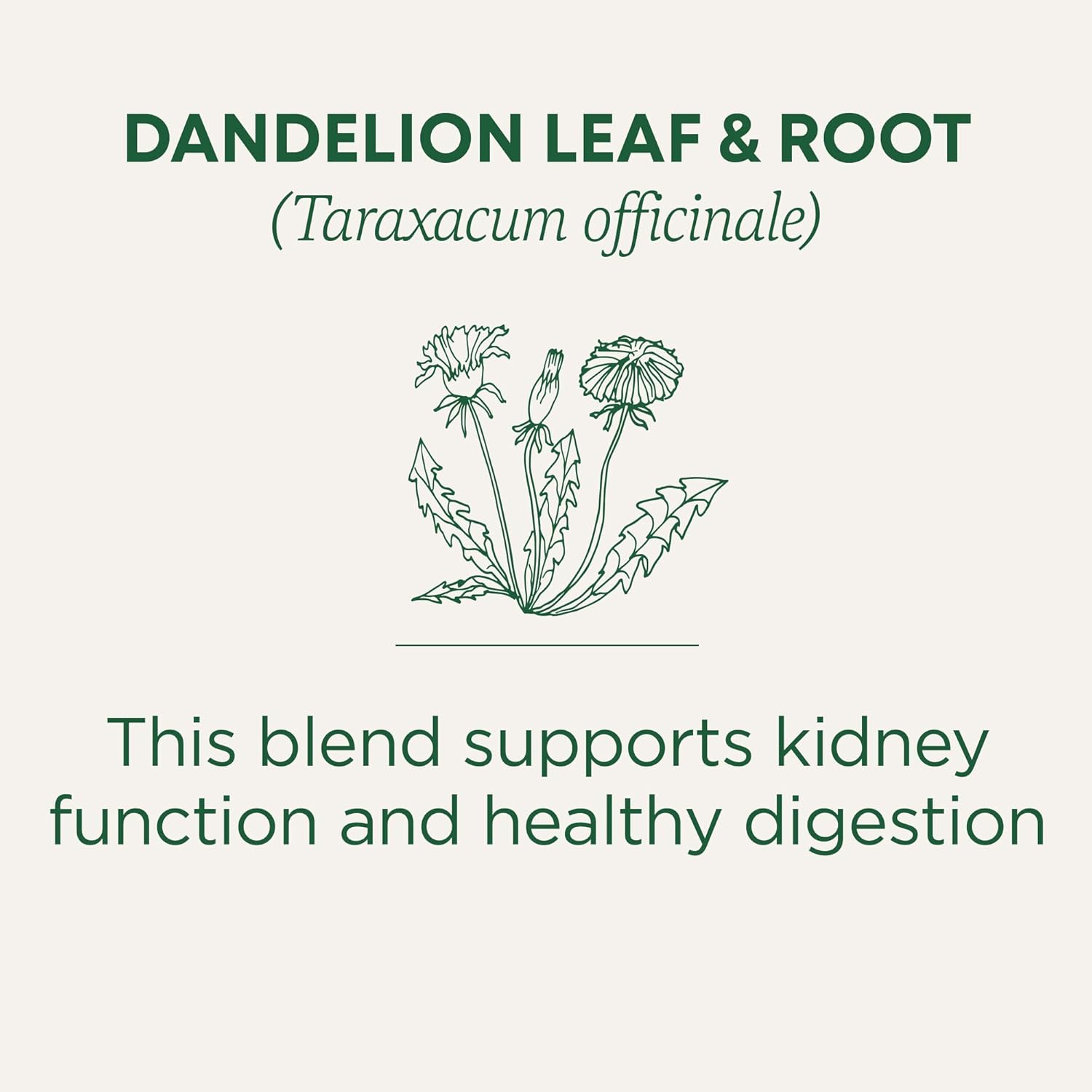 Traditional Medicinals Dandelion Detox Tea – Individually Wrapped Bags for Patio Lounging and Open-Air Sipping