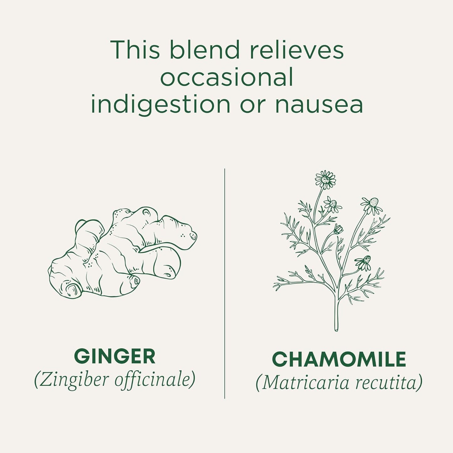 Traditional Medicinals Simple Ginger & Chamomile Herbal Tea – Uncluttered Pantry Staple for Daily Digestive Calm, 16 Bags