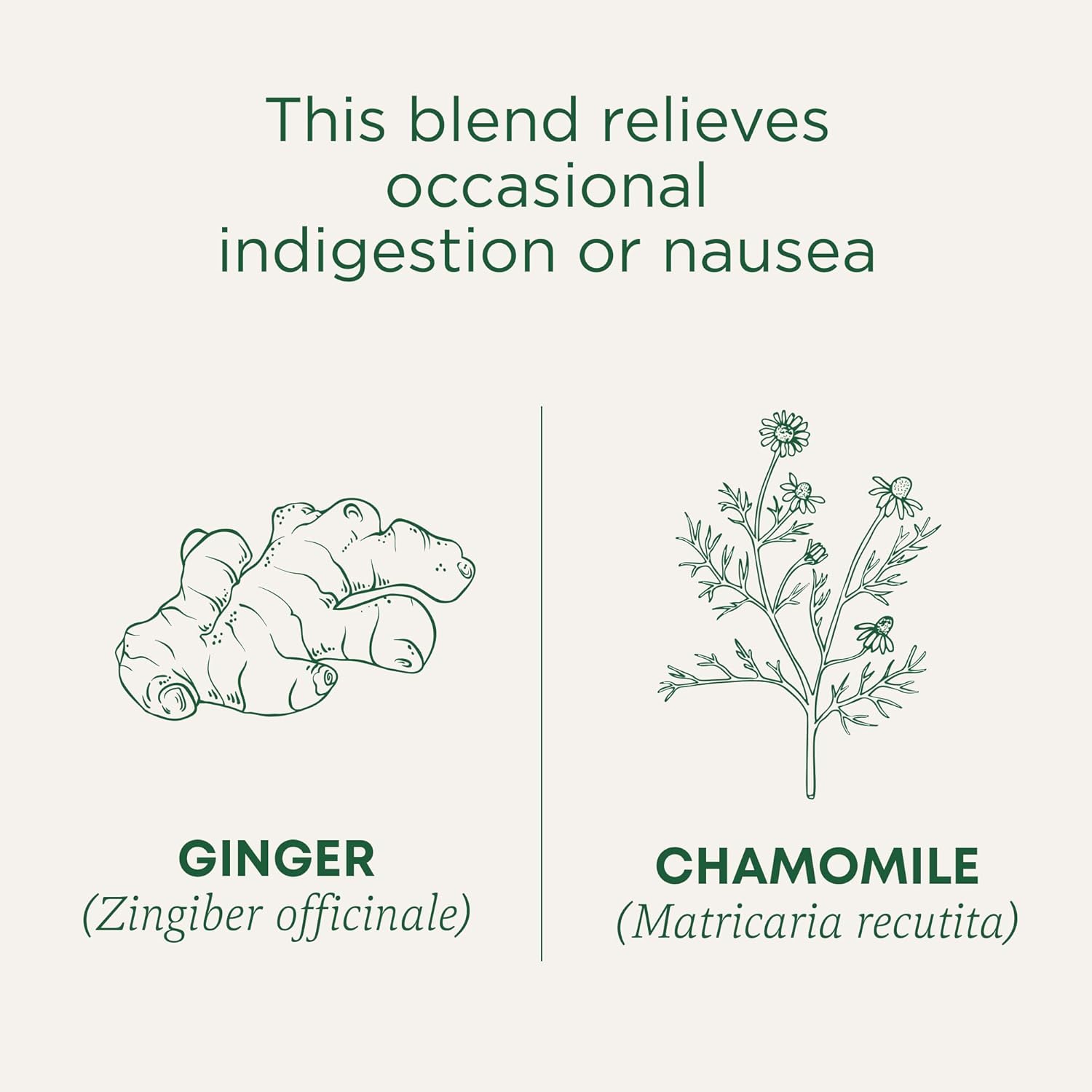 Traditional Medicinals Simple Ginger & Chamomile Herbal Tea – Uncluttered Pantry Staple for Daily Digestive Calm, 16 Bags