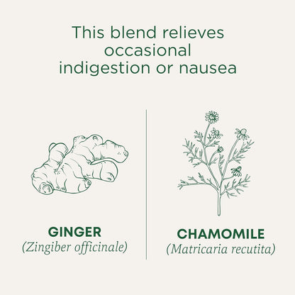 Traditional Medicinals Simple Ginger & Chamomile Herbal Tea – Uncluttered Pantry Staple for Daily Digestive Calm, 16 Bags