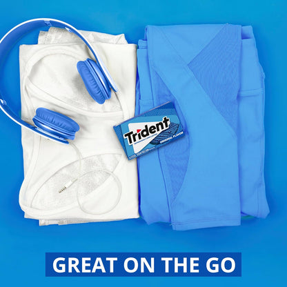 Trident Peppermint Chewing Gum – Quick Meeting Breath Fix for Commuters
