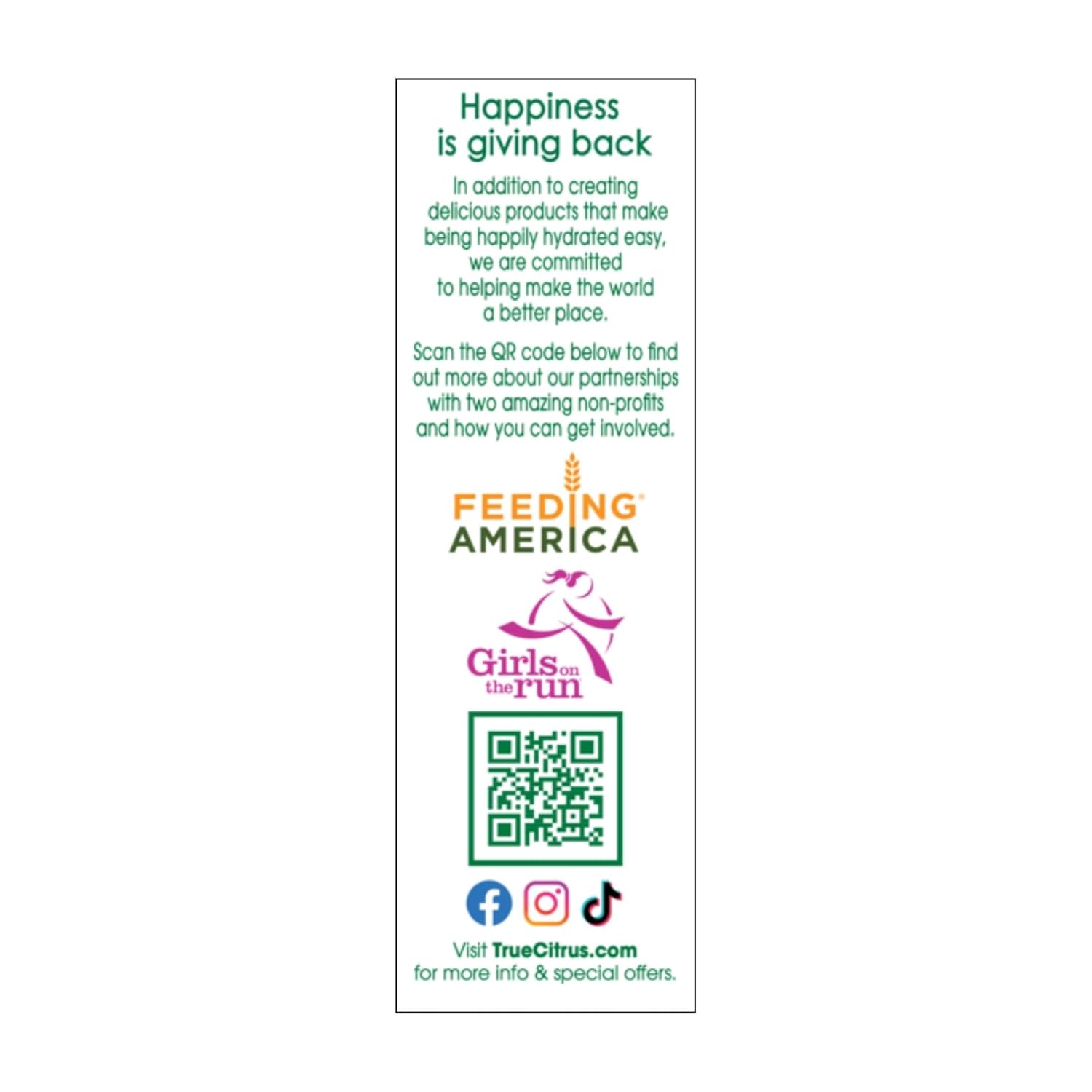 True Lemon Energy Blueberry Acai – Travel Companion Drink Mix for Airports, Road Trips, and On-the-Go Hydration