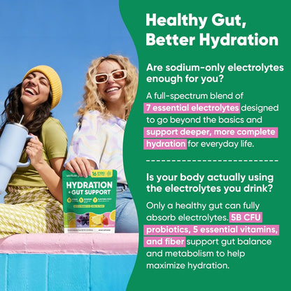 Venture Pal Hydration + Gut Health Powder – Mindful Daily Hydration Stick for Wellness Fridge, Yoga Studio, and Post-Workout Reset