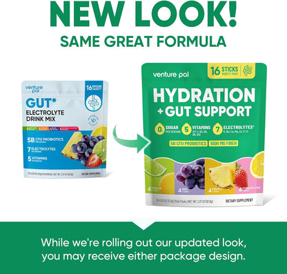Venture Pal Hydration + Gut Health Powder – Mindful Daily Hydration Stick for Wellness Fridge, Yoga Studio, and Post-Workout Reset